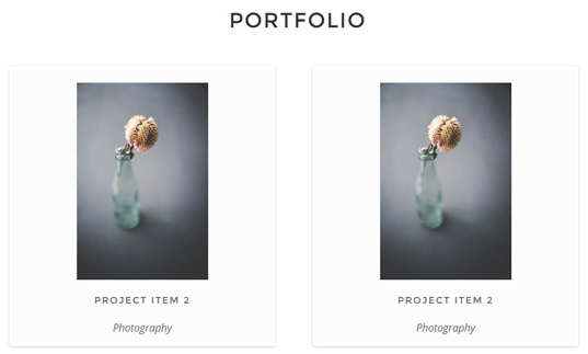 An image describing two portfolio items.
